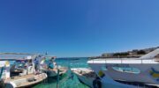 Почему летом в Хургаде всё чаще аллергия после моря