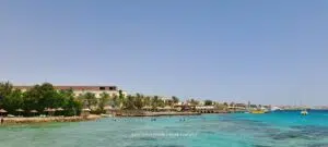 Какие лекарства можно купить в Египте. Список охватывает более 100 наименований. Перед покупкой лекарства из Египта проконсультируйтесь в аптеке, можно ли в данный момент этот препарат вывозить из страны. лекарства из Египта, покупка лекарств в Египте