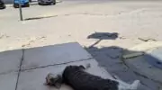 Переезд в Хургаду, что шокирует русских