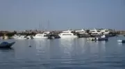 Рыбалка в Красном море: когда запрет и кто получит компенсации?