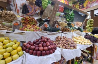 Амшир уже на пороге: египетский месяц ветров, урожая и перемен