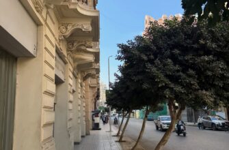 В автобусах Каира вводят электронную оплату проезда